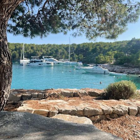 Luxury Villa Kate - In Lucice Bay With Turquoise Sea, Amazing Seaviews, And Heated Pool Milna  Exterior photo